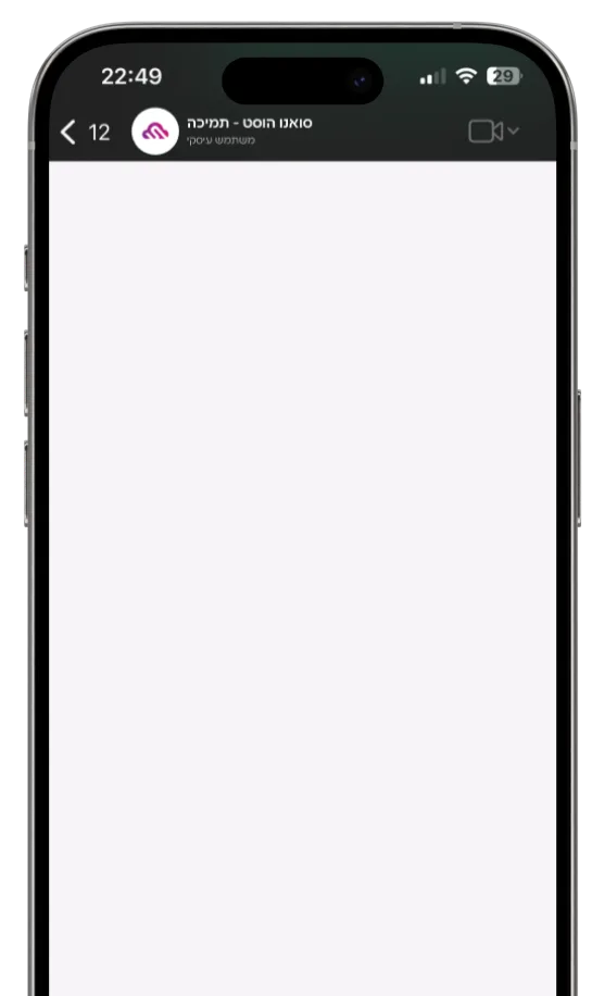 Phone preview